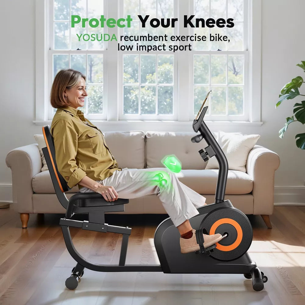 Recumbent Exercise Bike - Adjustable Seat