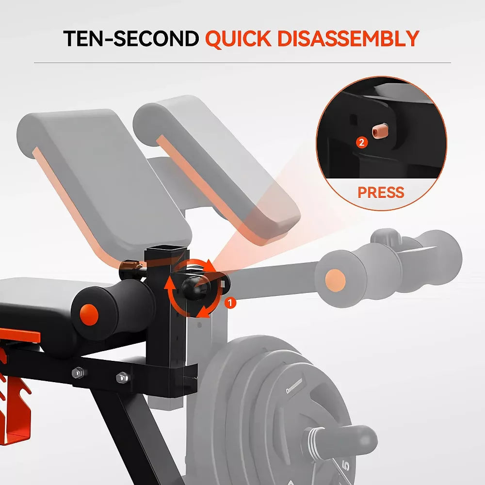 Preacher Curl & Leg Extension Bench - 6 Angles