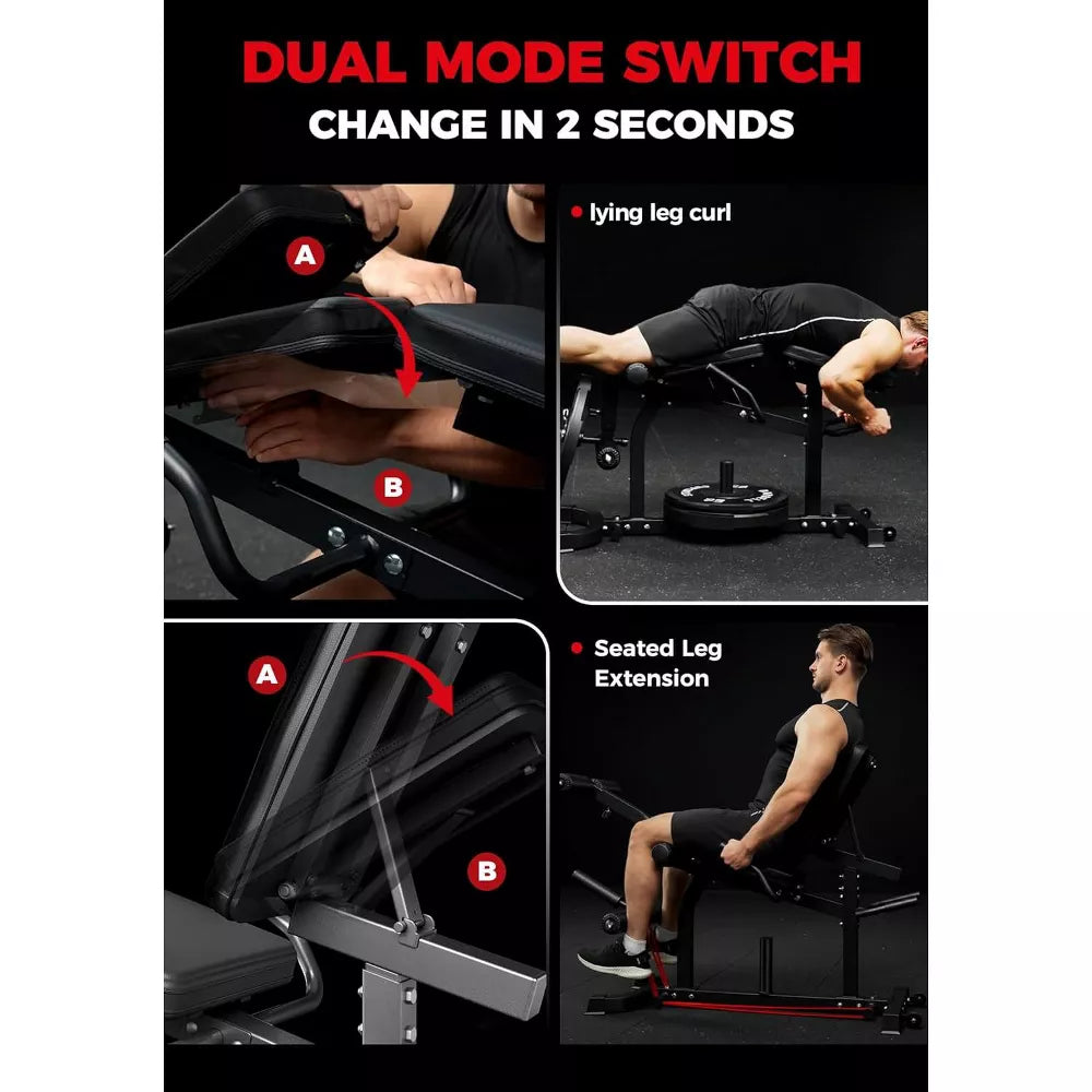 Adjustable Leg Extension and Curl Machine
