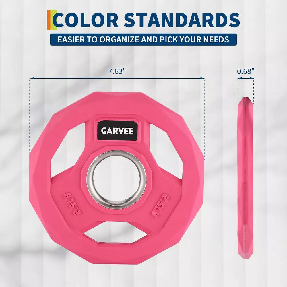 2-Inch Bumper Plates - Rubber Coated Cast Iron