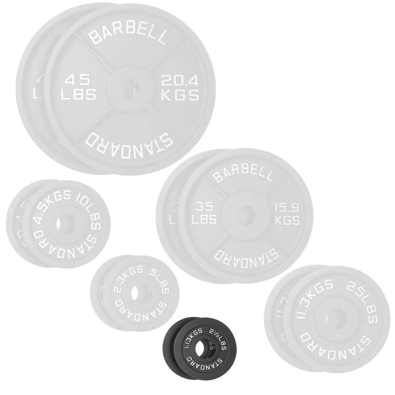 2.5lb cast iron 2-inch olympic weight plates set of 2 black matte coating for barbell