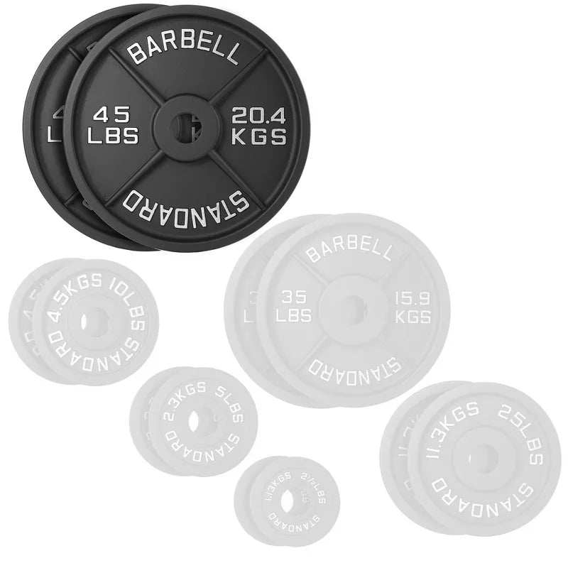 45lb cast iron 2-inch olympic weight plates set of 2 black matte coating for barbell