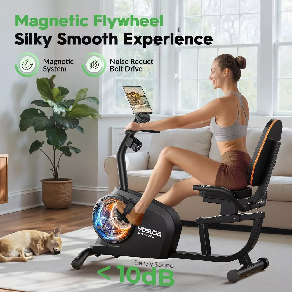 Recumbent Exercise Bike - Adjustable Seat