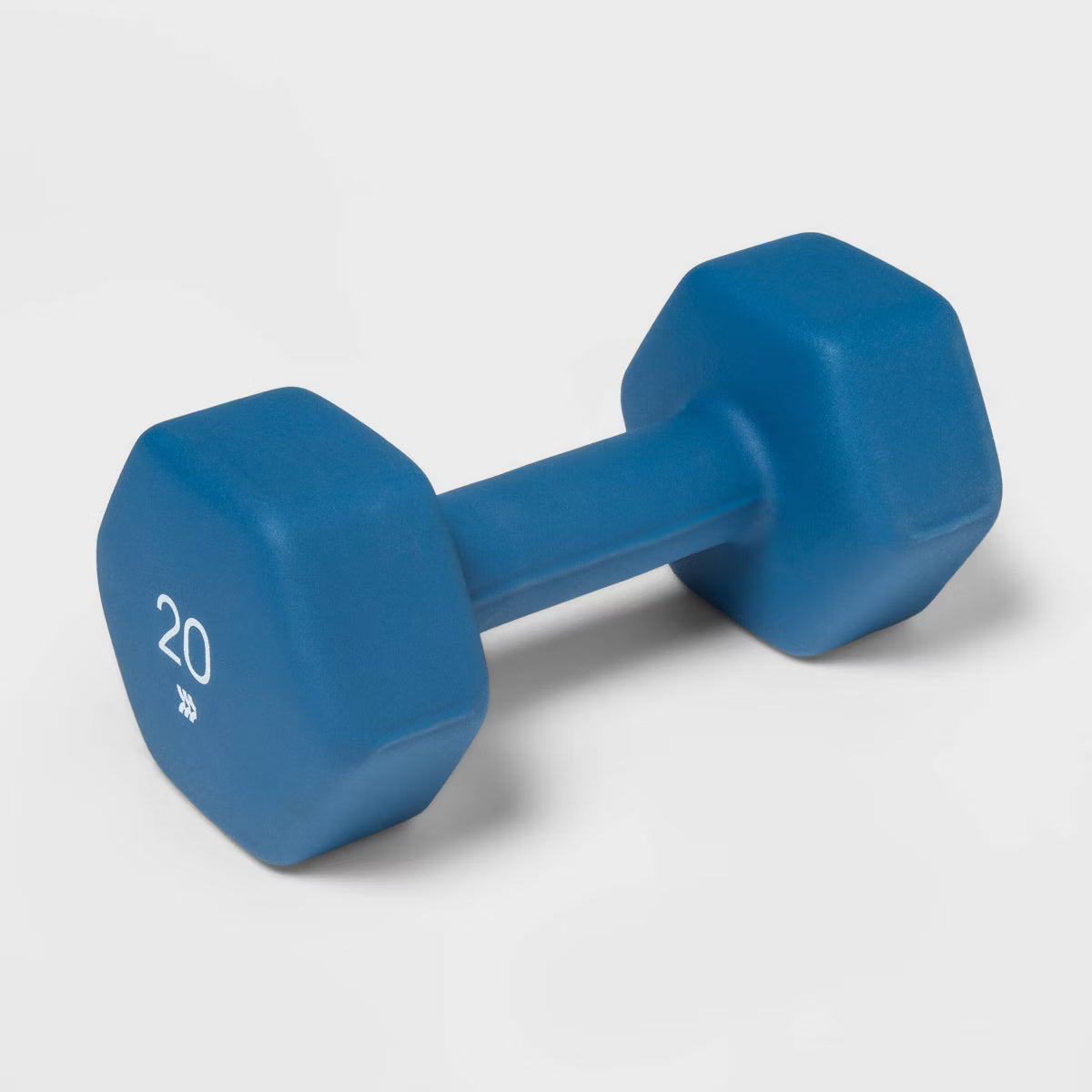 Neoprene 20lb blue dumbbell hex head non-slip iron core hand weight for home gym
