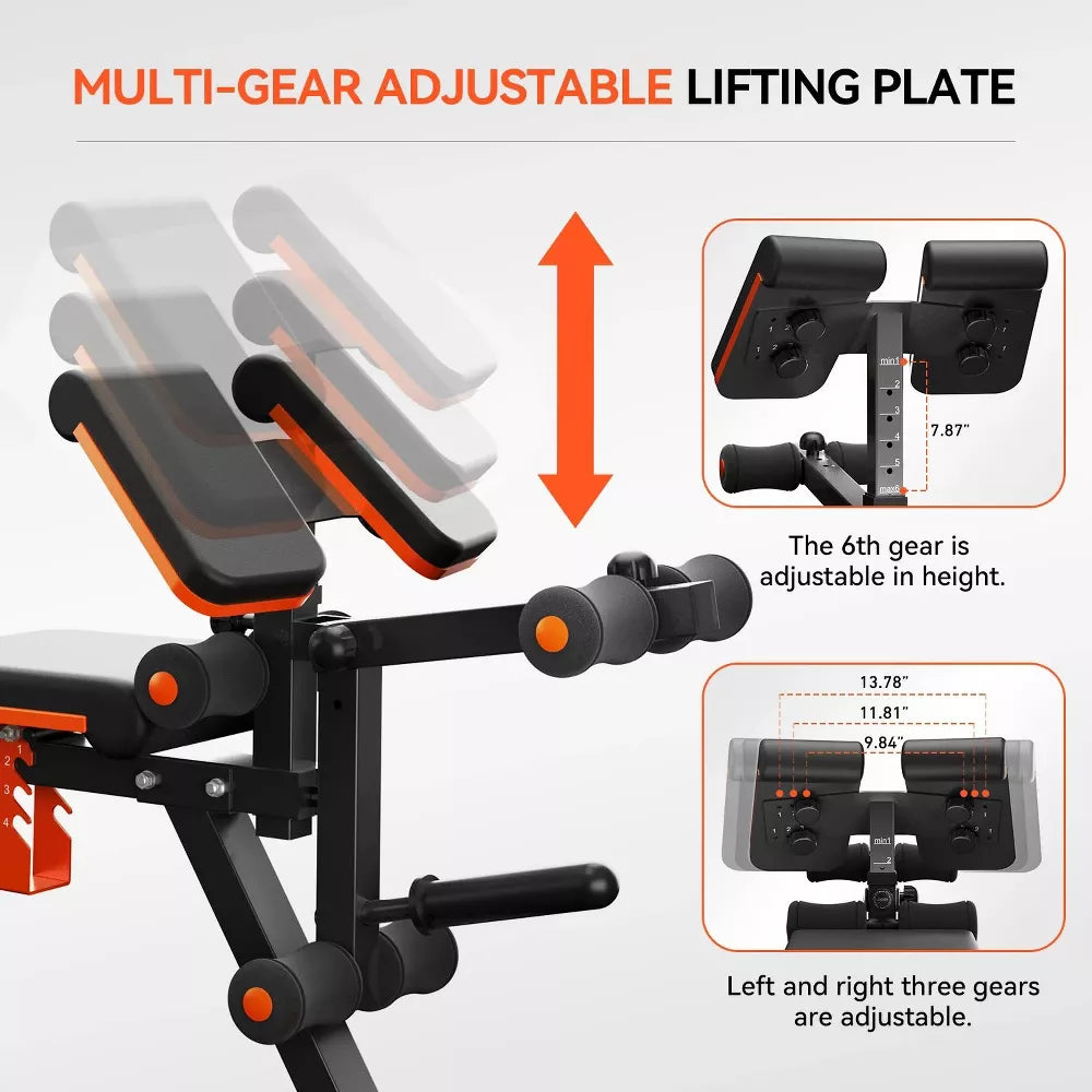 Preacher Curl & Leg Extension Bench - 6 Angles