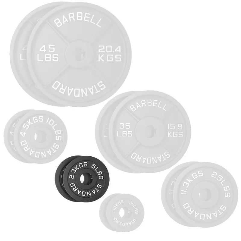 5lb cast iron 2-inch olympic weight plates set of 2 black matte coating for barbell